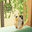 www.mabouya-studio.com favicon